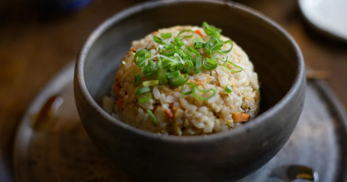 instant pot brown rice