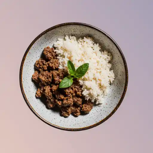 ground meat and rice recipes
